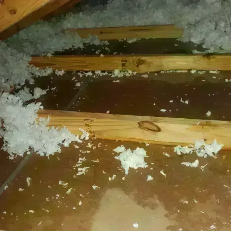 Attic Water Damage in Durand, WI