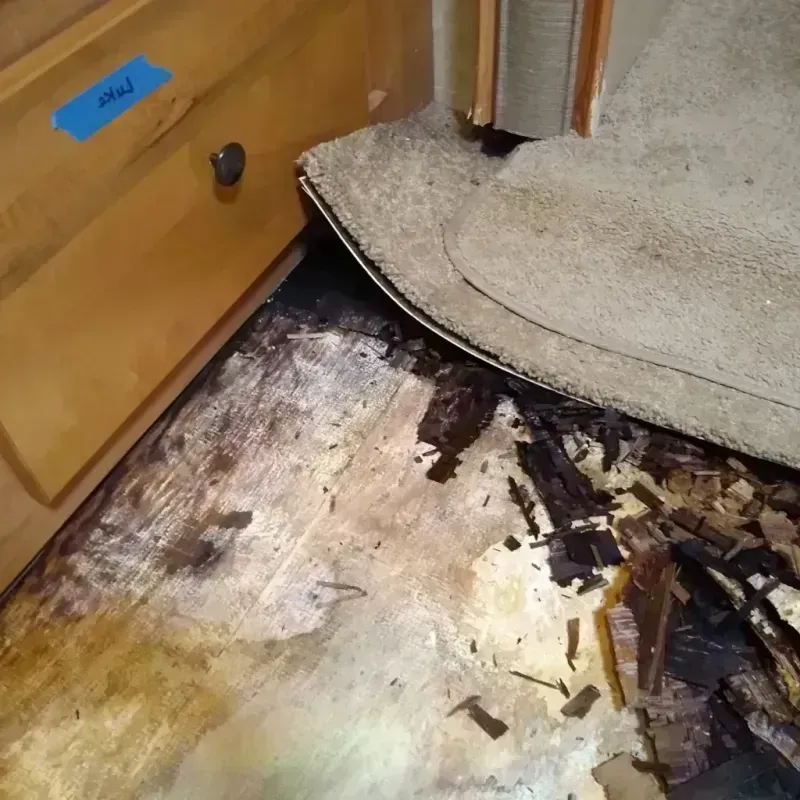 Wood Floor Water Damage in Durand, WI